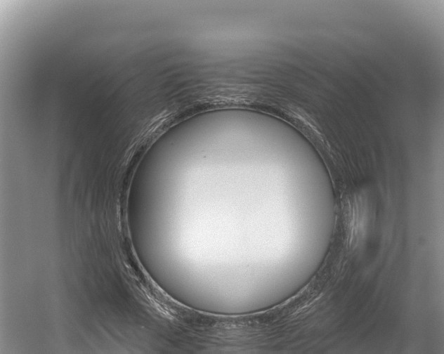 X0000056000729200508190821
