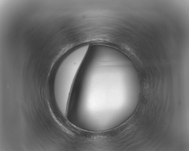 X0000056000734200508190821
