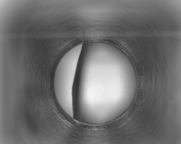 X0000056000737200508190821