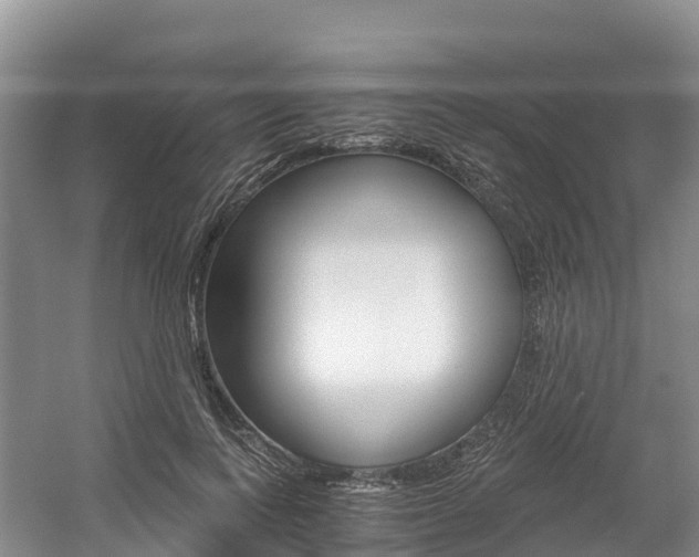 X0000056000743200508190821