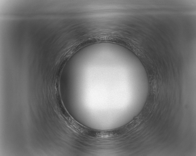 X0000056000746200508190821