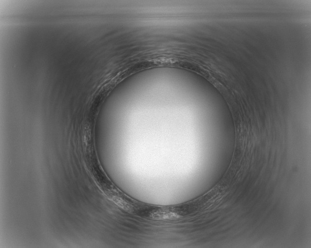 X0000056000747200508190821