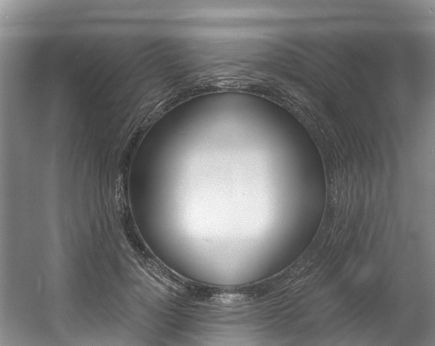 X0000056000748200508190821