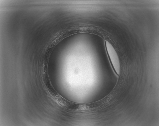 X0000056000750200508190821