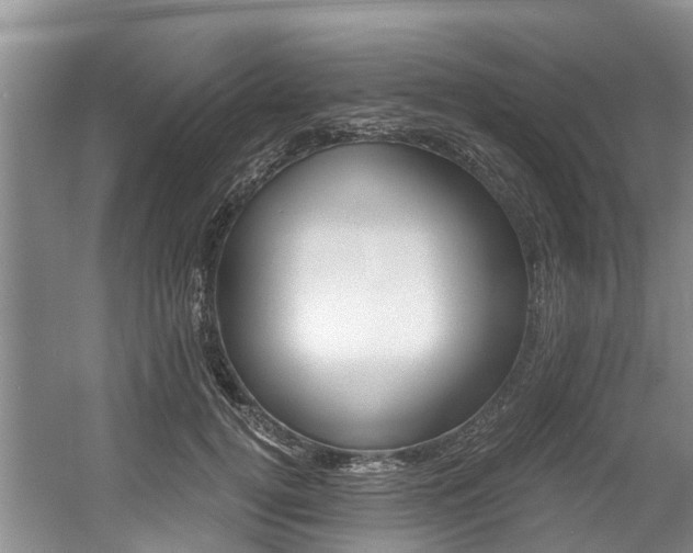 X0000056000752200508190821