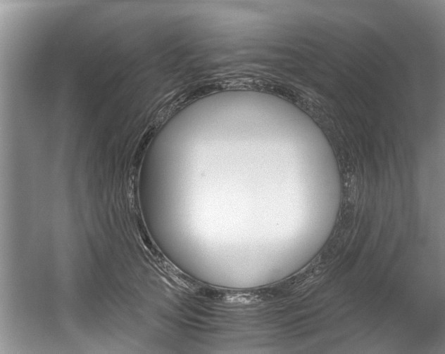 X0000056000753200508190821