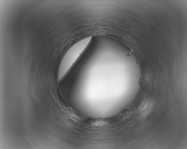 X0000056000759200508190821