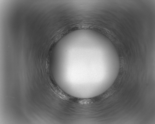 X0000056000761200508190821