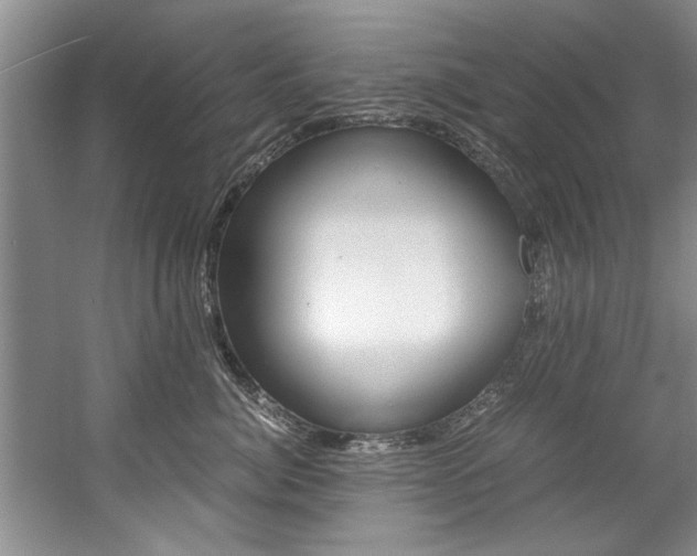 X0000056000764200508190821