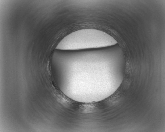 X0000056000765200508190821