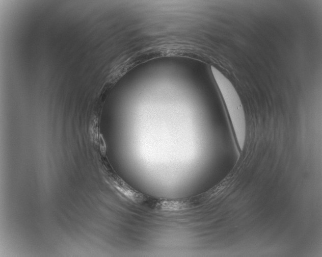 X0000056000766200508190821