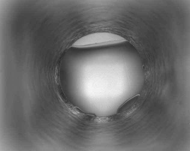 X0000056000767200508190821