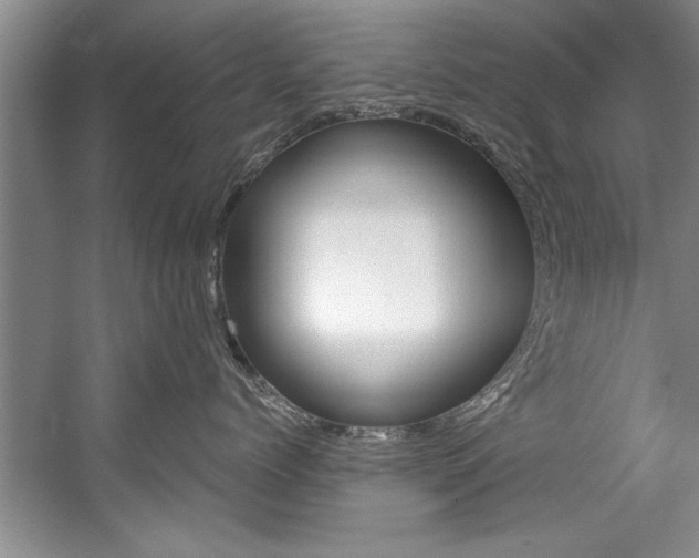 X0000056000768200508190821
