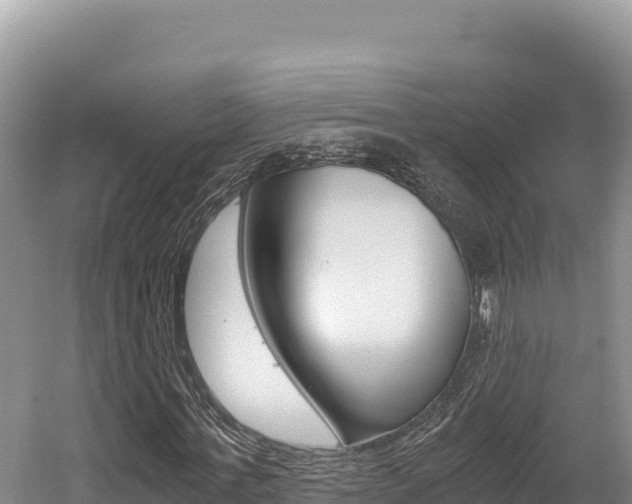 X0000056000771200508190820