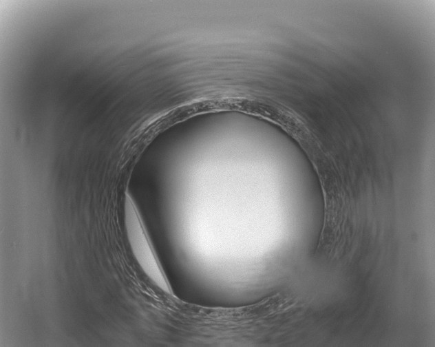 X0000056000773200508190820