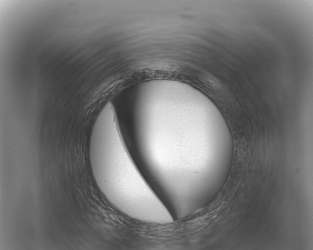 X0000056000774200508190820