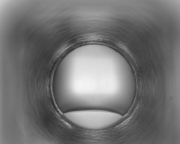 X0000056000778200508190820