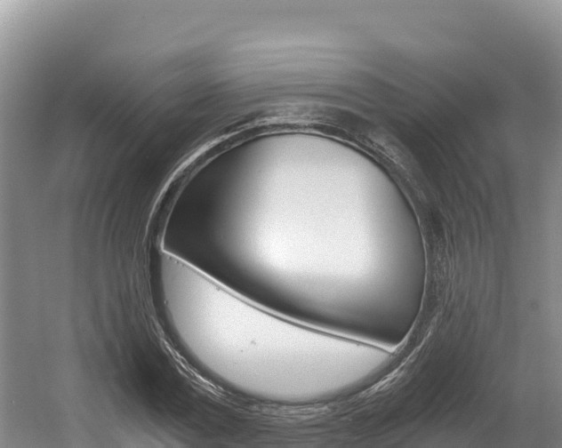 X0000056000779200508190820