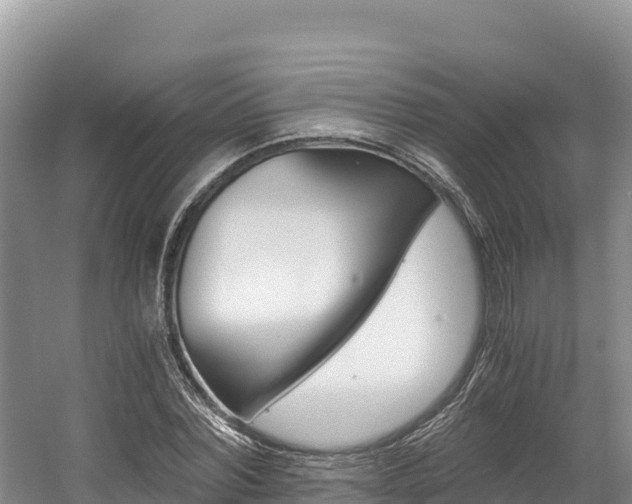 X0000056000780200508190820
