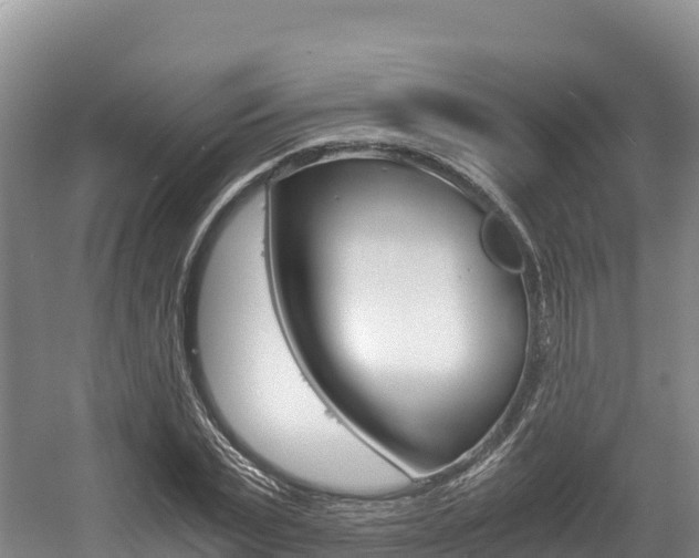 X0000056000783200508190820