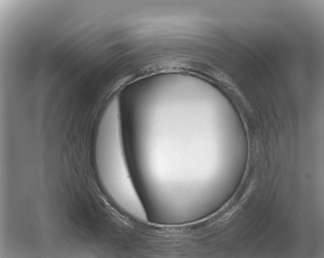 X0000056000785200508190820