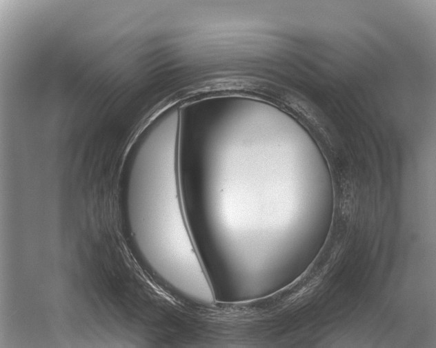 X0000056000786200508190820