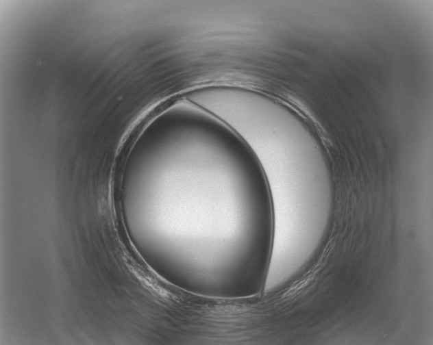 X0000056000788200508190820