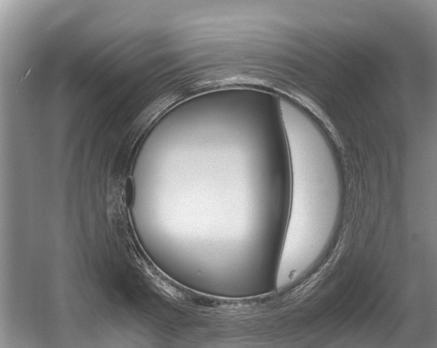 X0000056000793200508190820