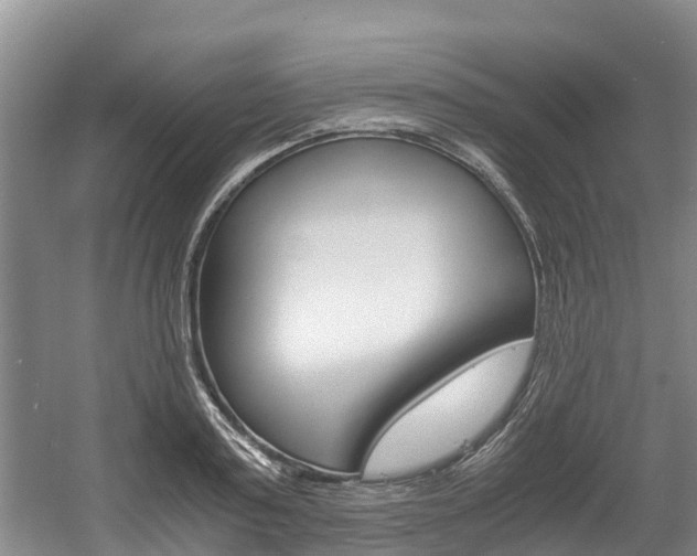 X0000056000795200508190820