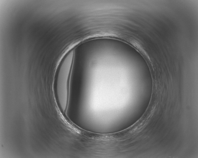 X0000056000797200508190820