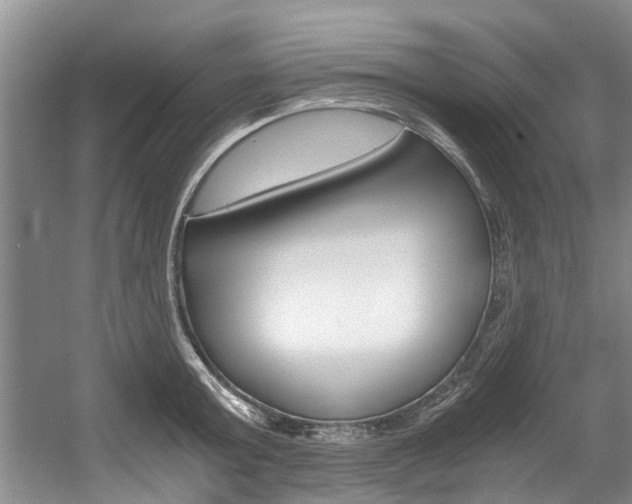 X0000056000803200508190820