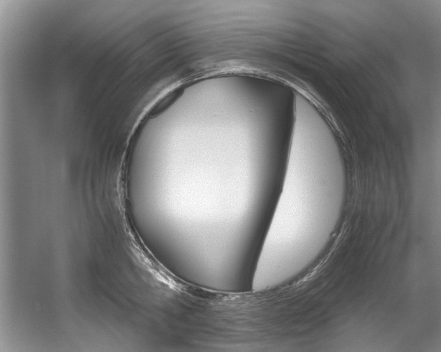 X0000056000806200508190820