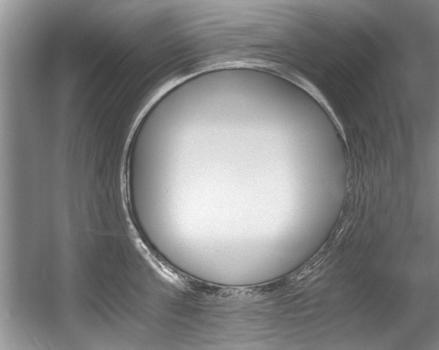 X0000056000811200508190820