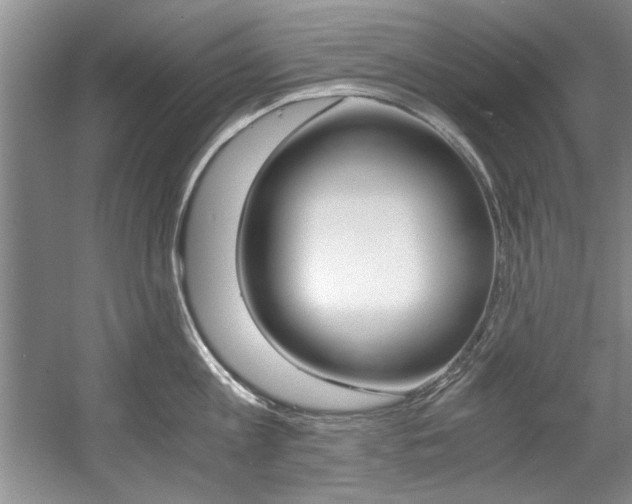 X0000056000813200508190820