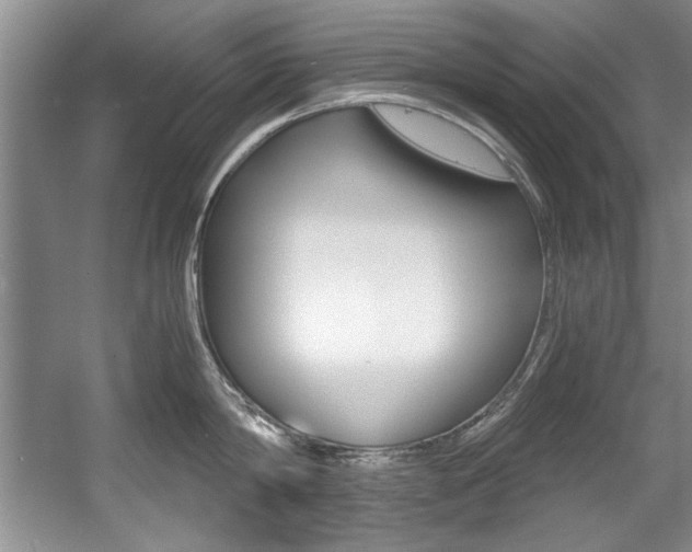X0000056000814200508190820