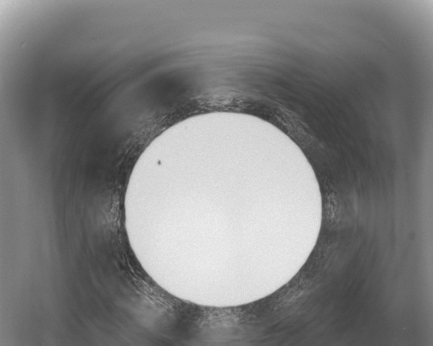 X0000056000820200508190819