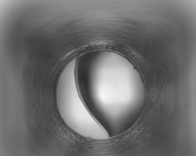 X0000056000821200508190819