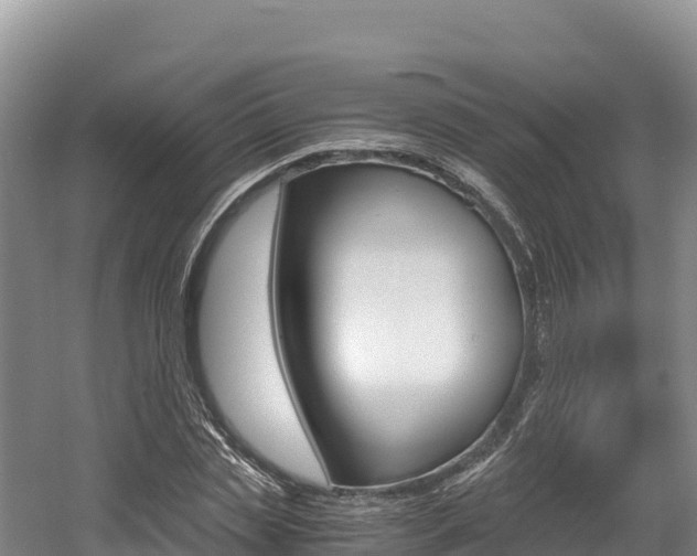 X0000056000829200508190819