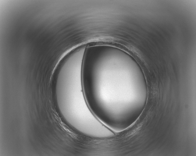 X0000056000830200508190819