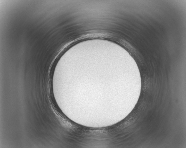 X0000056000836200508190819