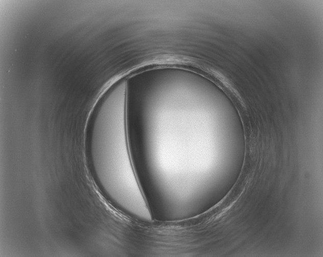 X0000056000837200508190819
