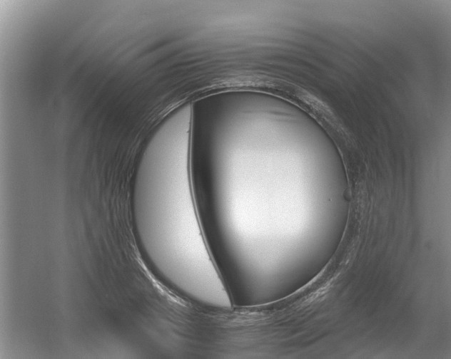 X0000056000841200508190819