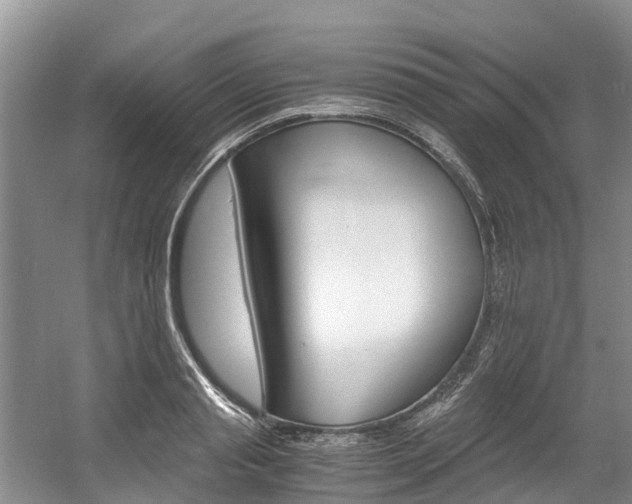 X0000056000845200508190819