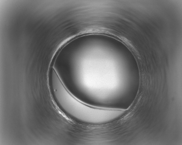 X0000056000846200508190819