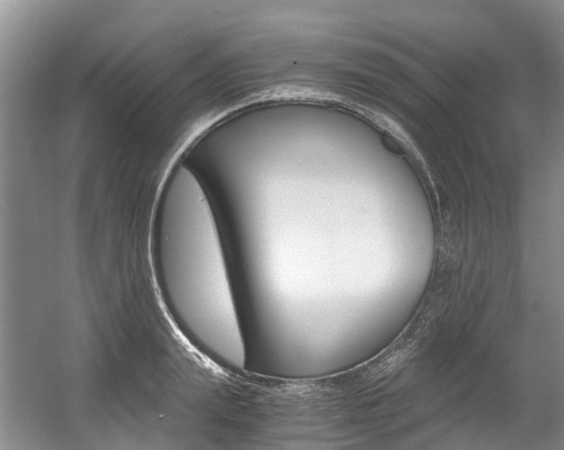 X0000056000847200508190819