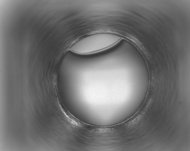 X0000056000849200508190819