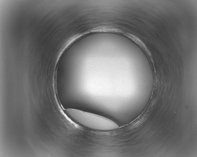 X0000056000855200508190819