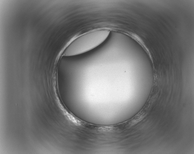 X0000056000859200508190820