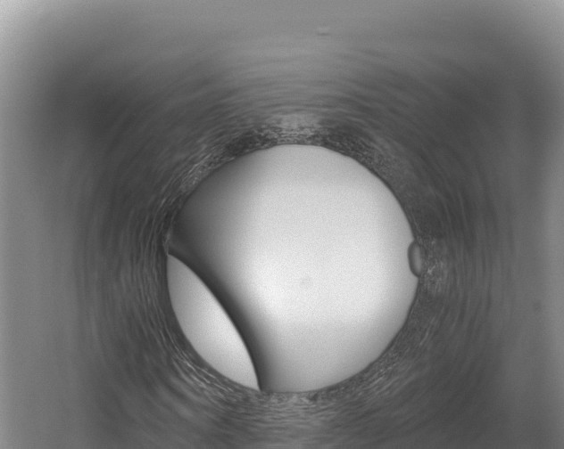 X0000056000866200508190819
