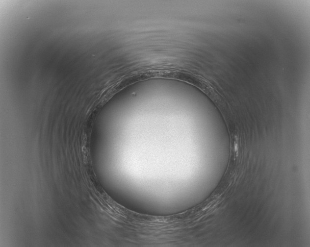 X0000056000867200508190819